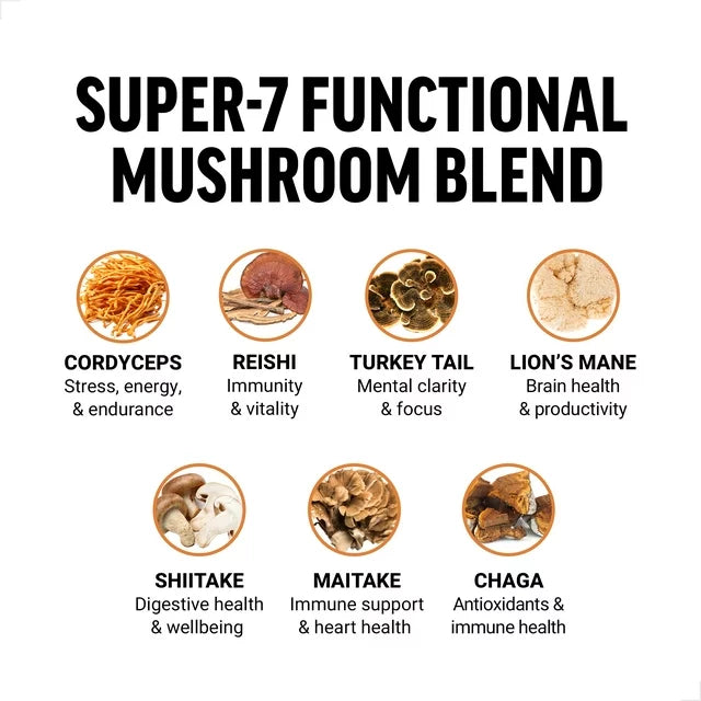 Modern Mushrooms Soft Chews, Mushroom Supplement to Support Energy, Focus, Immunity, & Digestion, 60 Soft Chews