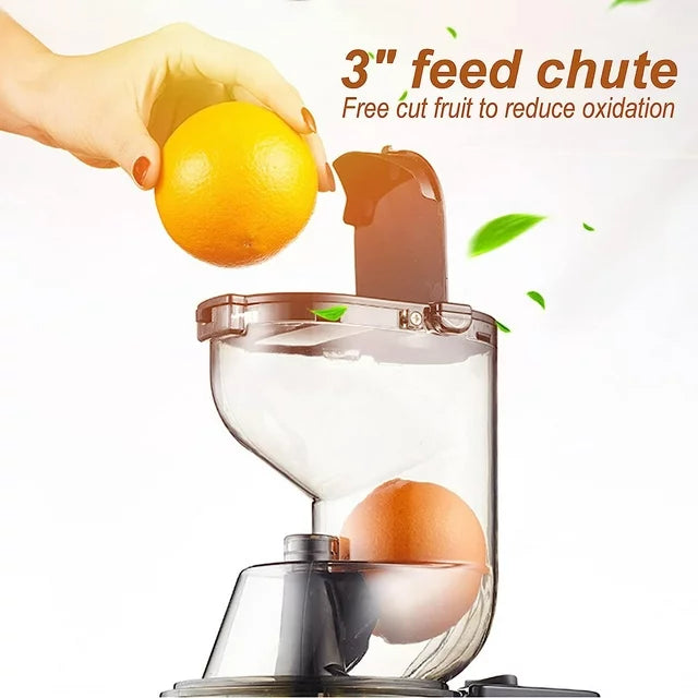 Masticating Juicer Cold Press Juice Extractor Apple Orange Citrus Juicer Machine